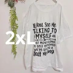 大きいサイズ✨美品✨プリントTシャツ レディース 2XL 3L 半袖 ゆったり