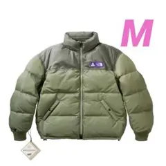 PALACE The North Face Down Jacket size M