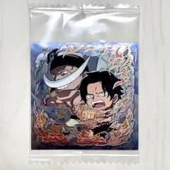 ワンピース大海賊シールウエハースLOG.13 SW13-10 SP エース