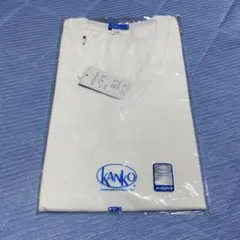 Item thumbnail for item c57cff80-1757-4cbb-8b1b-68c1ec3ec5ed