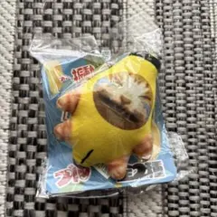 Item thumbnail for item 51a833d5-a7ea-4a54-974a-6a311afb883c