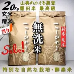 【　Sale❗️献上米の歴史　生物の死滅農薬不使用　】　無洗米２０kg　コシヒカリのサムネイル