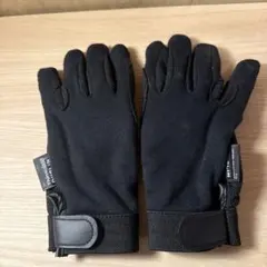 Item thumbnail for item f49dbcaf-af95-4c52-9be6-95107b97e02a