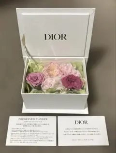 Item thumbnail for item 5a705d16-ff46-4569-a073-188d5805bfad