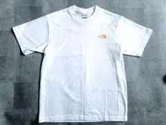 THE NORTH FACE バンダナスクエアロゴ Tシャツ メンズ M