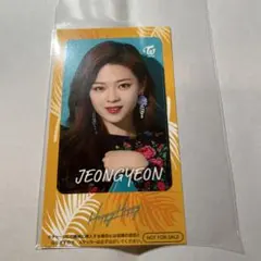 TWICE HappyHappy ジョンヨン ICカードステッカー