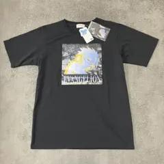 【新品未使用】エヴァンゲリオン 渚カヲル Tシャツ L プリント　ブラック