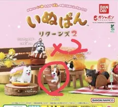 2026年最新】コーイケルホンディエの人気アイテム - メルカリ