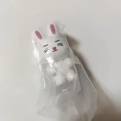 エスクプス MINITEEN カニカン