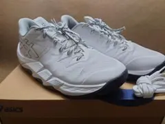 アンプレアルスlow2