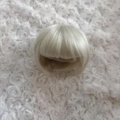 Leeke SDMサイズウィッグ