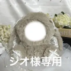 シオ様専用