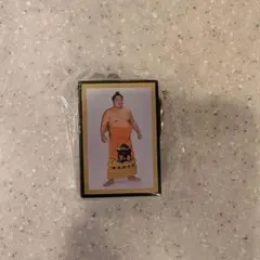 うちゃこ様 リクエスト 2点 まとめ商品