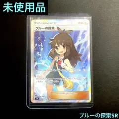 2025年最新】ブルーの探索 sr sm9b フルメタルウォール 061/054