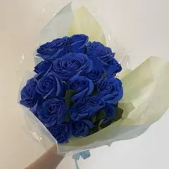 Item thumbnail for item b751dfd7-d458-42fd-bc5c-6ed36f08ac5c