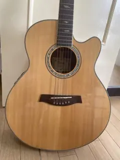 2025年最新】Ibanez アコースティックギターの人気アイテム