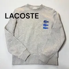レアLACOSTE タイムラインクロックプリントクルーネックスウェット S