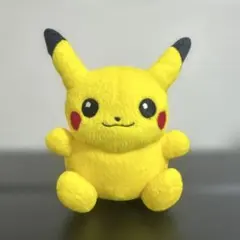 2025年最新】ポケドール ピカチュウの人気アイテム - メルカリ