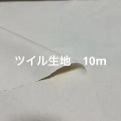 ツイル生地　スレーキ生地　5m×2枚