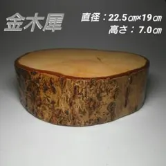 Item thumbnail for item 9a9da500-84cb-460a-bf96-a5a74748f6fd