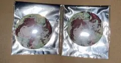 シャイニーカラーズ/園田智代子】缶バッジ 10点セット - メルカリ