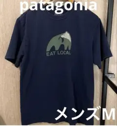 パタゴニア　Patagonia メンズ　Tシャツ　Mサイズ　オーガニックコットン