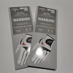 ゴルフグローブ 23