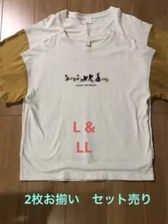2枚セット　お揃いディズニー　夏　半袖Tシャツ　L &ＬＬセット