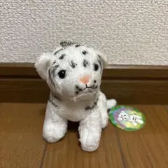 2026年最新】東武動物公園 ぬいぐるみの人気アイテム - メルカリ