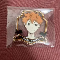 日向翔陽　ハイキュー!! アクリルバッジコレクション 2016　合同練習会 2025年最新】ハイキュー アクリルバッジ 2016の人気アイテム