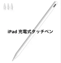 【2024年最新改良ペンシル】Ciscle iPad タッチペン ワイヤレス充電