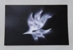 BUMP OF CHICKEN orbital period　ポストカード4