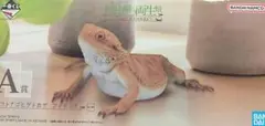 一番くじ 爬虫類 両生類
