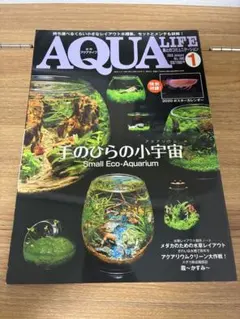 Item thumbnail for item 4e064416-95f1-4f53-a4c8-e37f1ea8314b