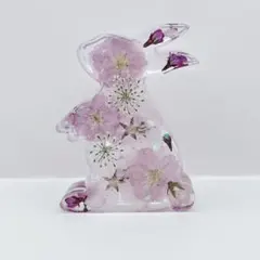 固まるハーバリウム♡ミニうさぎ - メルカリ