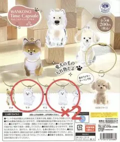 わんこのタイムカプセル　3個セット