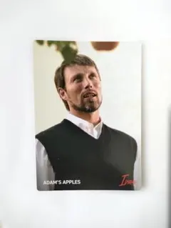 マッツ・ミケルセン アダムズ・アップル イヴァン カード