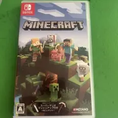 Minecraft Nintendo Switch