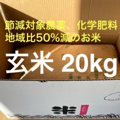 【期間限定価格】令和7年産 コシヒカリ 玄米 20kg 保冷庫14℃管理