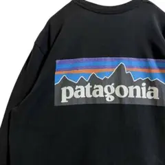Patagonia パタゴニア 長袖 Tシャツ ブラック 黒 古着