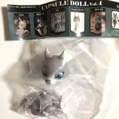 CAPSULE DOLL vol.4 Ash