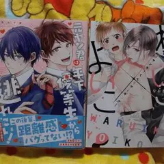 商業　BL 新刊含　元ヤン君は年下優等生から逃れたい！