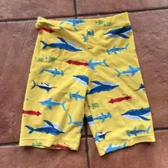 男の子用サメ柄水着　110