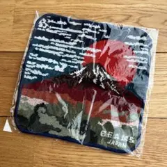 【新品】BEAMS 富士山　ハンドタオル　シェニール織のサムネイル