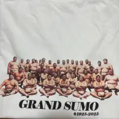 大相撲 百周年場所　UNIQLO Tシャツ 幕内B / Lサイズ