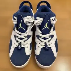 NIKE AIR JORDAN 6 RETRO LOW US8 26cm