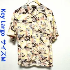 Item thumbnail for item 6cf4b0e2-6f15-4177-96aa-0ef0b7b23edf