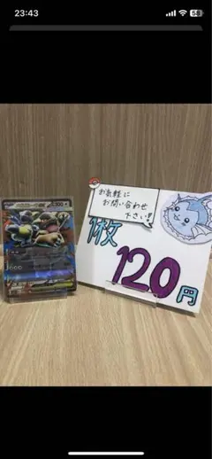 ホヌ様専用ページ　ポケモンカード