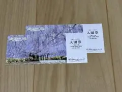 あしかがフラワーパーク無料入園券❗️のサムネイル
