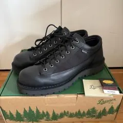 Danner ダナーフィールドロー D121008 28cmのサムネイル